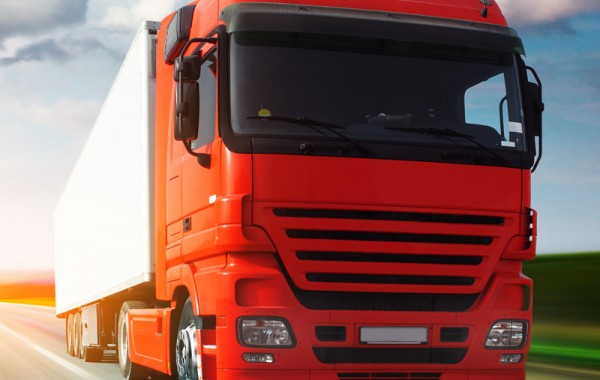 Sed blandit massa vel