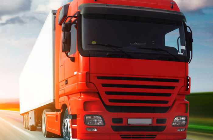 Sed blandit massa vel